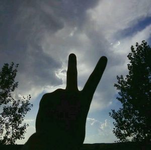 Meet your Posher, Alisha